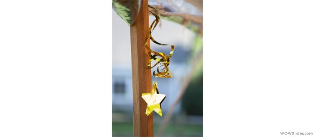 Ashley_Tilton_Photography_WCA_045